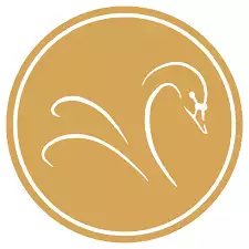 swan 2 the black swan logo on a white background